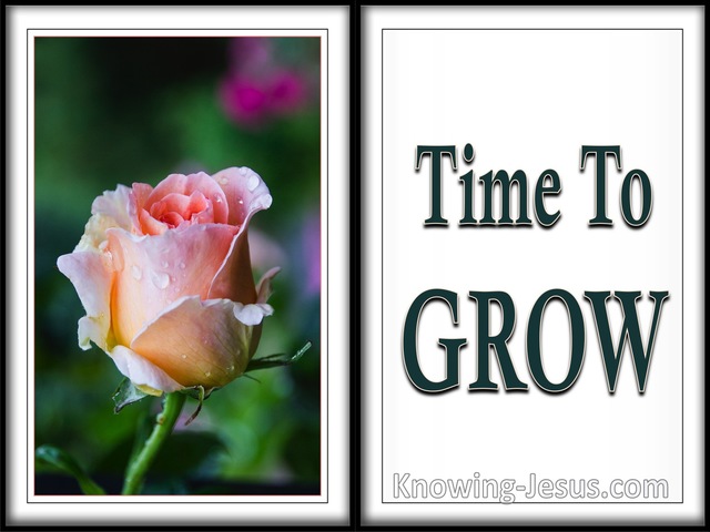 Philippians 1:6 Time To Grow (devotional)03:18 (white)